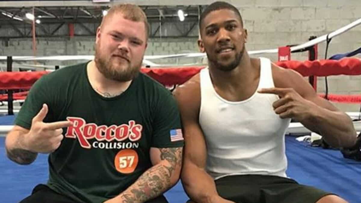 Anthony Joshua and Joey Dawejko sparring